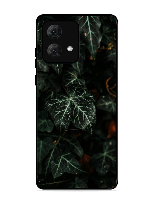Motorola Moto G84 Betel Leafs