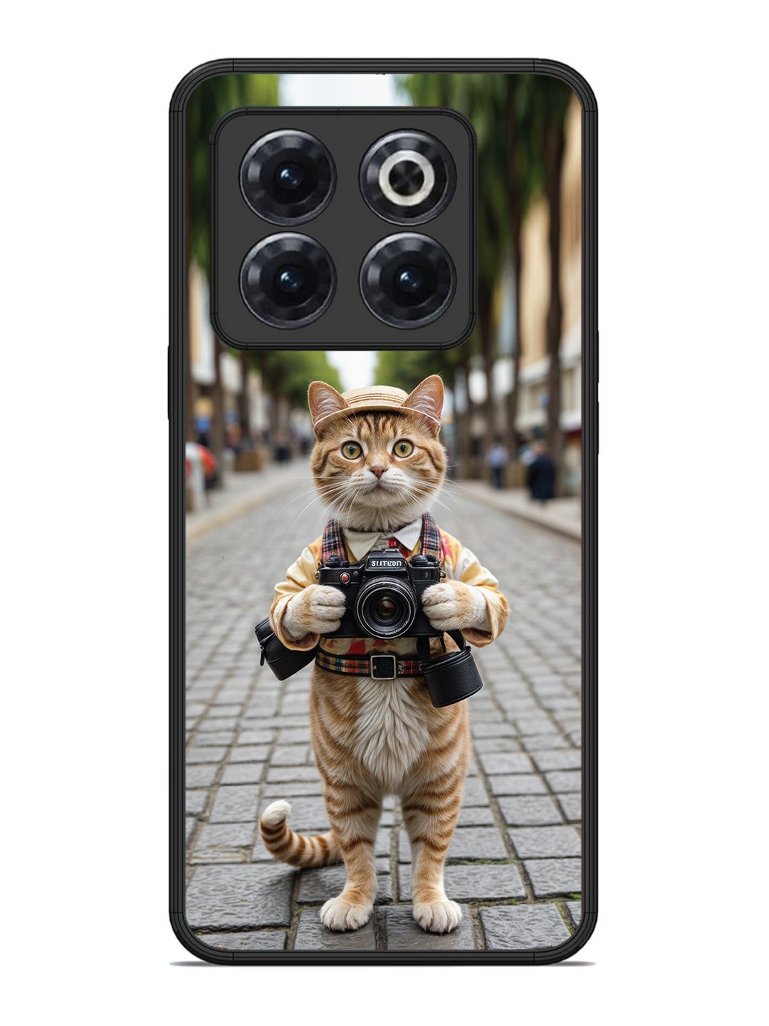 OnePlus 10T Cat as Cameraman