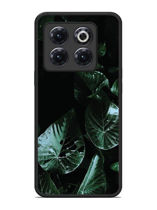 OnePlus 10T Leafs at night