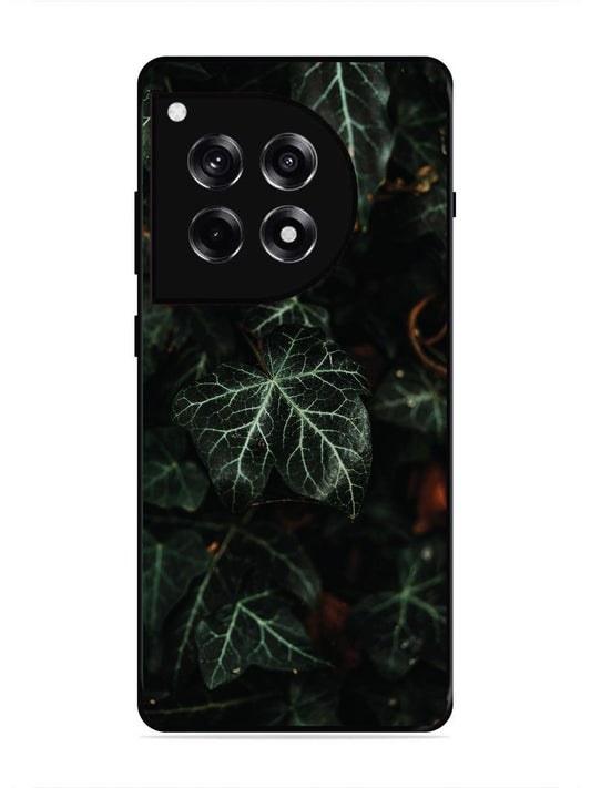OnePlus 12R Betel Leafs