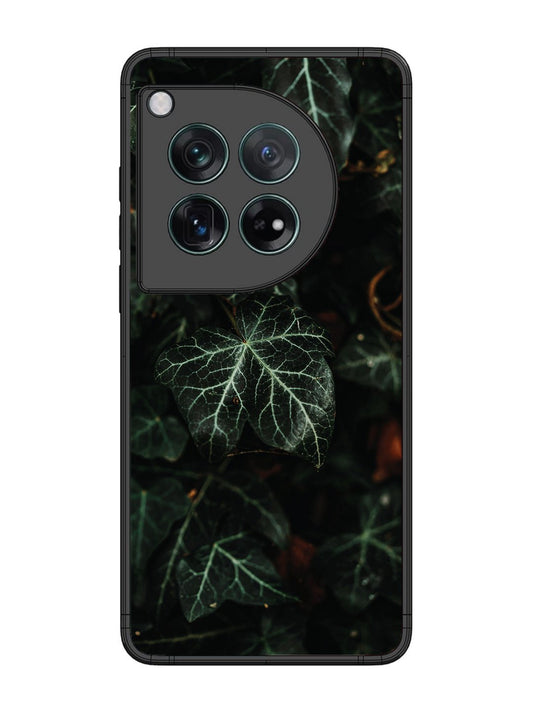 OnePlus 12 Betel Leafs