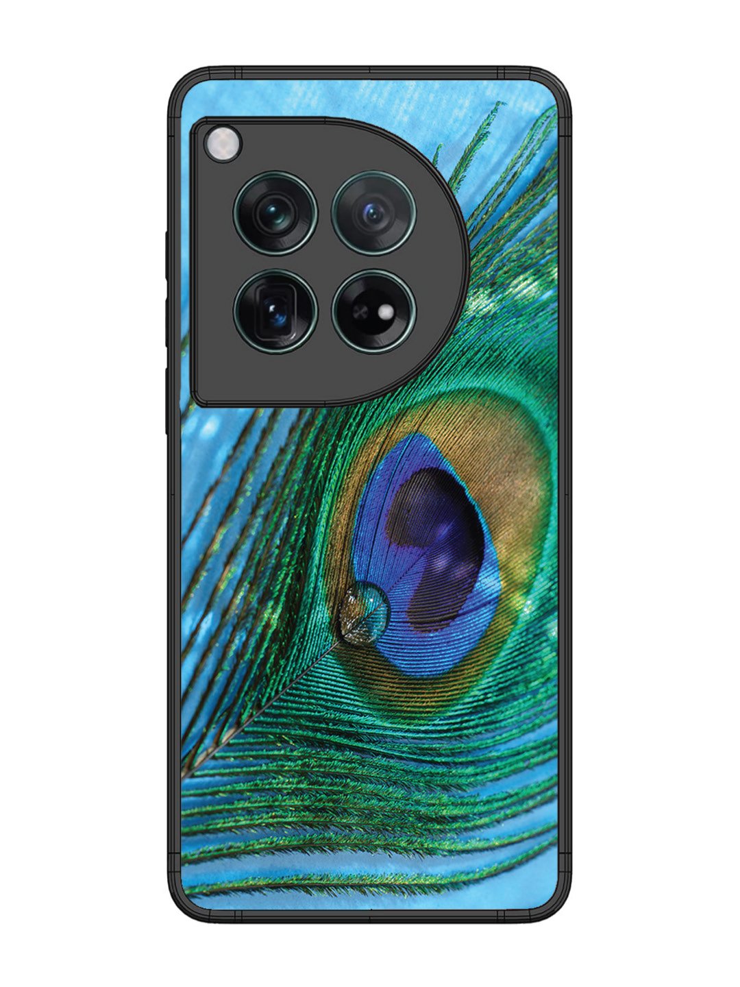 OnePlus 12 A drop on Peacock Feather