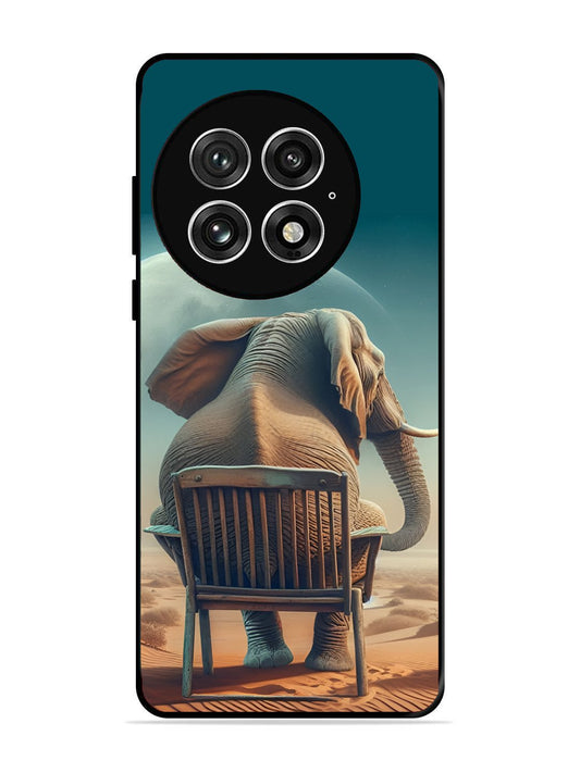 OnePlus 13 Baby Elephant om chair