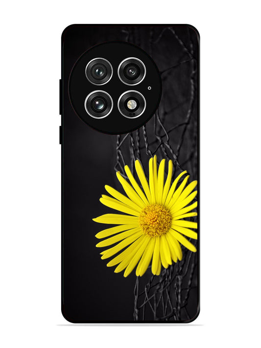 OnePlus 13 Sunflower on Fansing