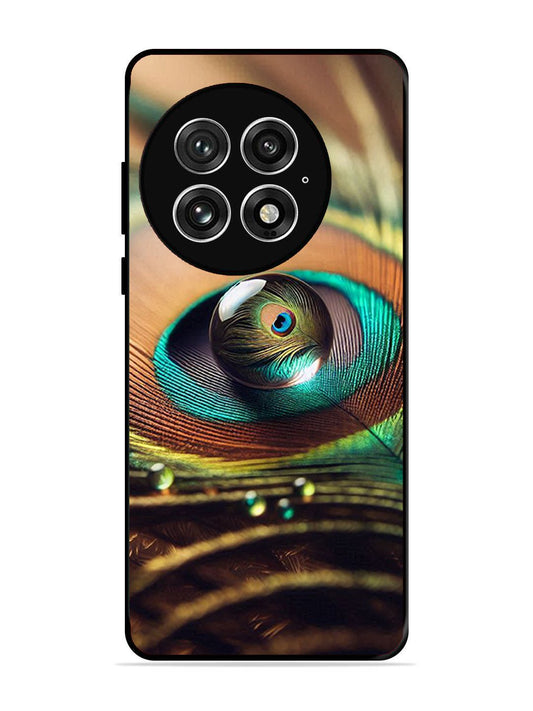 OnePlus 13 Water Drop On Peacock Feather
