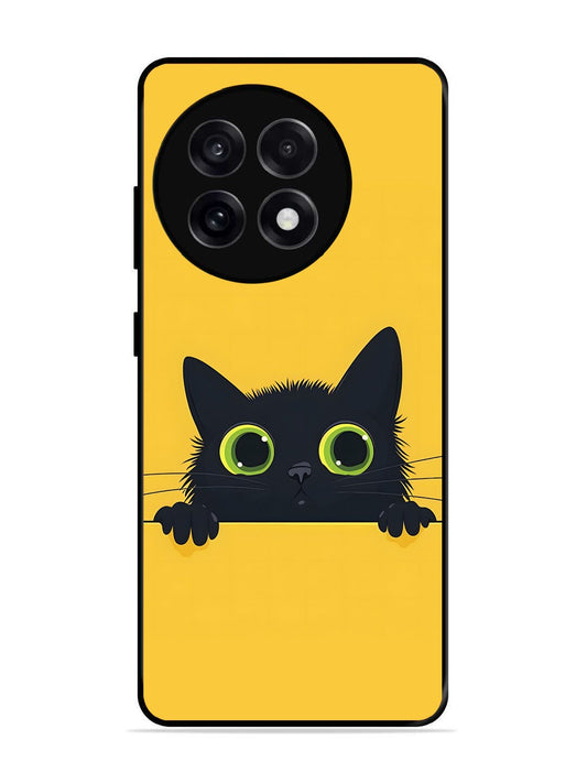 OnePlus 13R Cat