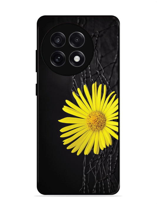 OnePlus 13R Sunflower on Fansing