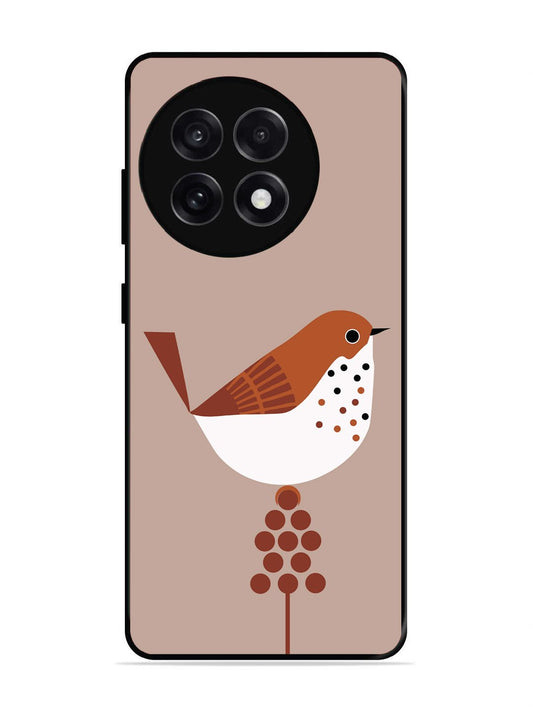 OnePlus 13R Sparrow