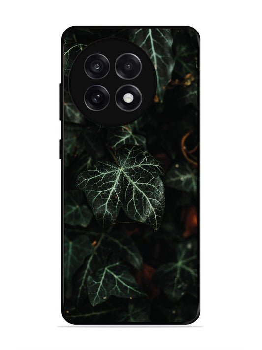 OnePlus 13R Betel Leafs