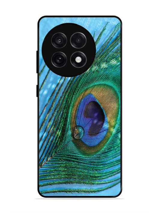 OnePlus 13R A drop on Peacock Feather