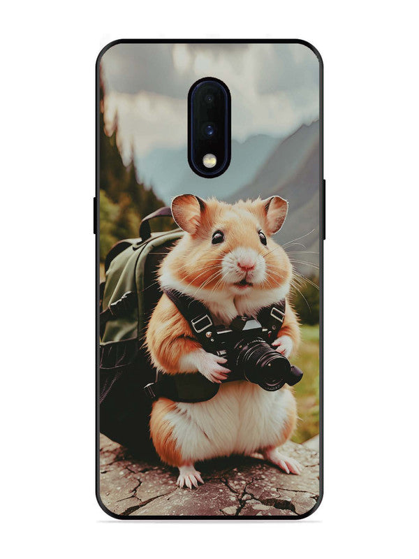 OnePlus 6T Camera Squirrel