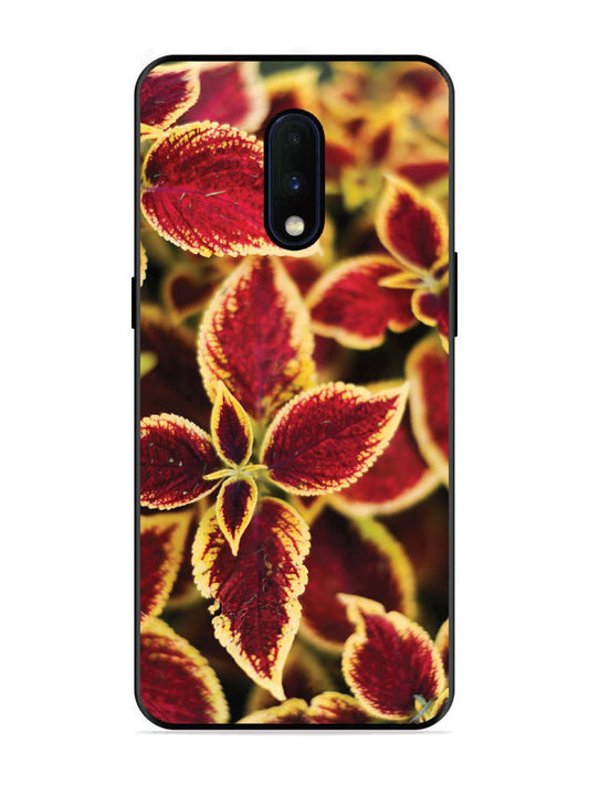 OnePlus 6T Autumn Blaze