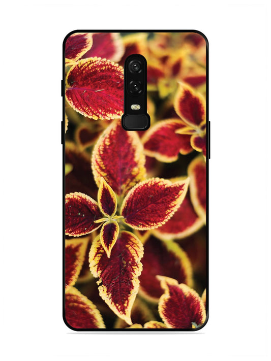 OnePlus 6 Autumn Blaze