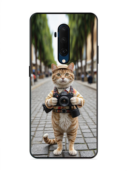 OnePlus 7T Pro Cat as Cameraman