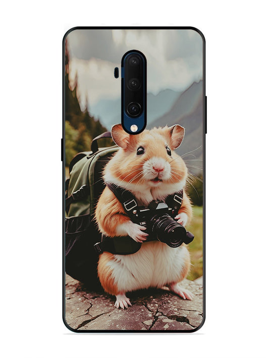 OnePlus 7T Pro Camera Squirrel