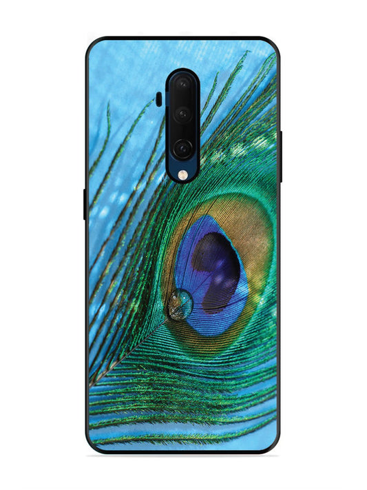 OnePlus 7T Pro A drop on Peacock Feather