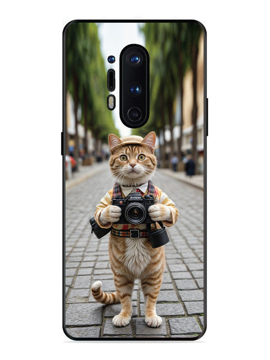 OnePlus 8 Pro Cat as Cameraman