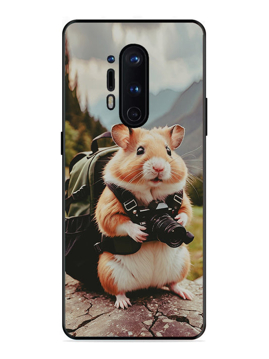 OnePlus 8 Pro Camera Squirrel