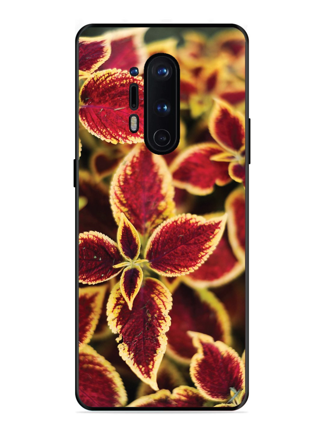 OnePlus 8 Pro Autumn Blaze