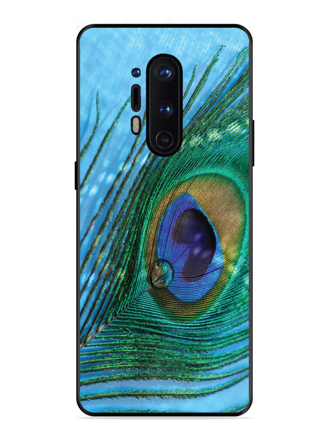 OnePlus 8 Pro A drop on Peacock Feather