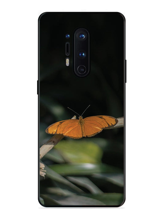 OnePlus 8 Pro Beautiful Butterfly