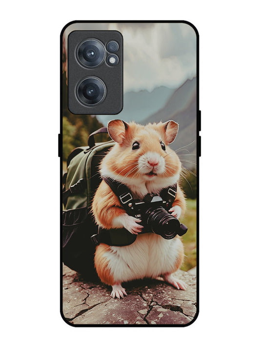 OnePlus Nord CE 2 5G Camera Squirrel