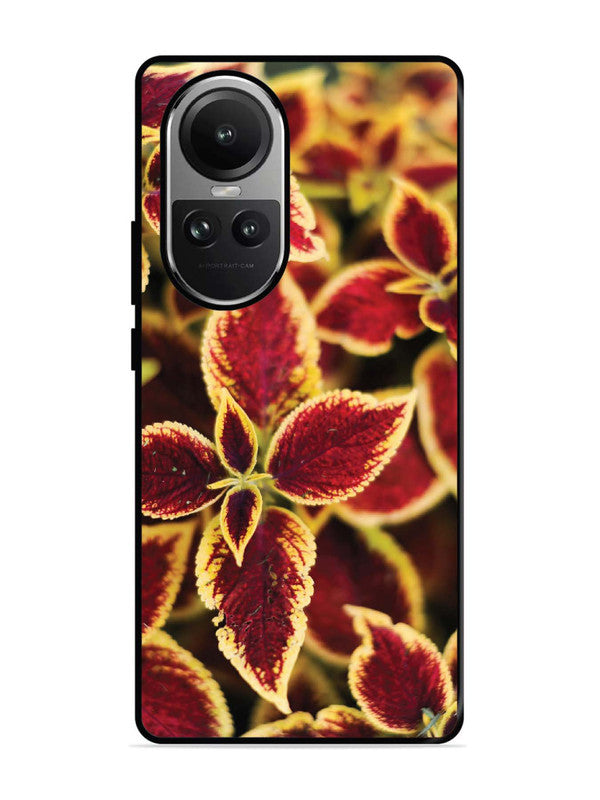 Oppo RENO 10 Pro 5G Autumn Blaze