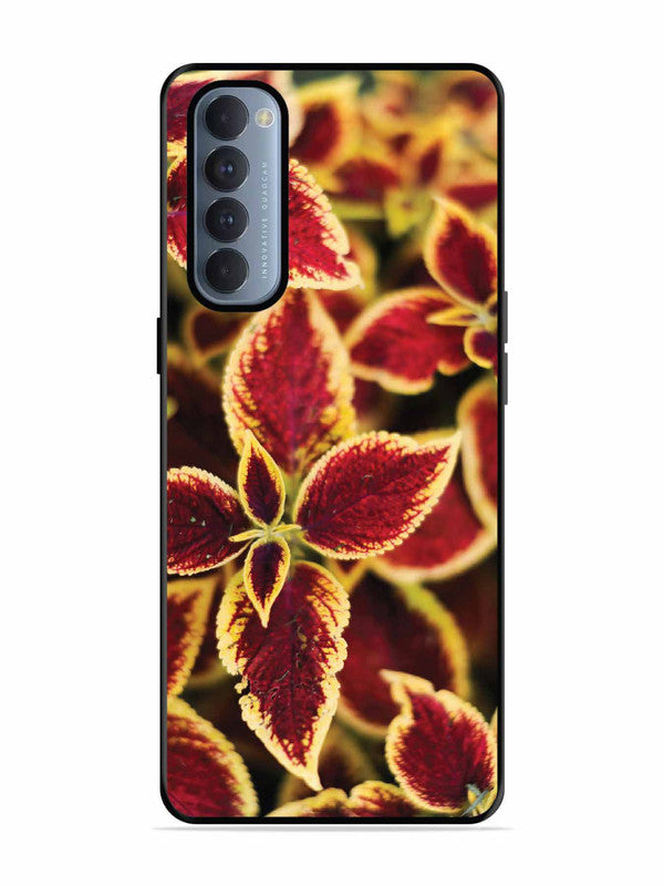 Oppo RENO 4 Pro Autumn Blaze