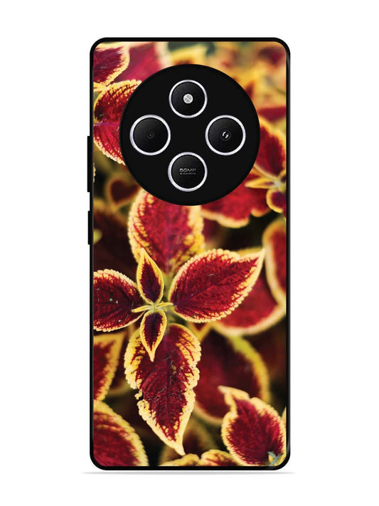 Poco C75 5g Autumn Blaze