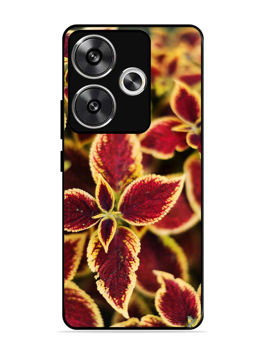 Poco F6 Autumn Blaze