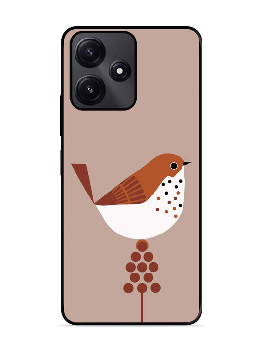 Poco M6 Pro Sparrow