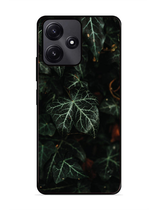 Poco M6 Pro Betel Leafs