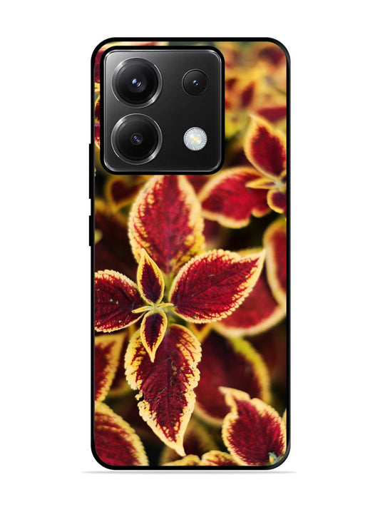 Poco X6 Autumn Blaze