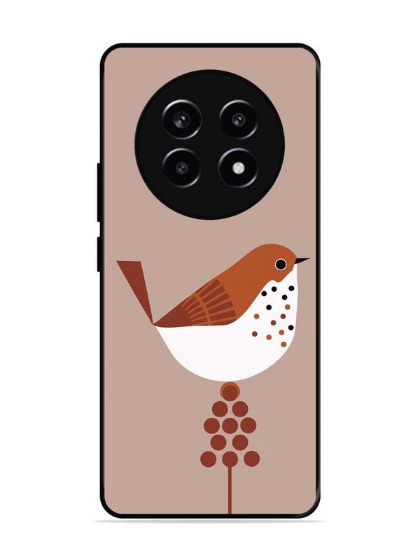 realme 13 Pro Sparrow