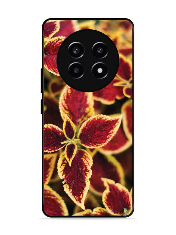 realme 13 Pro Autumn Blaze