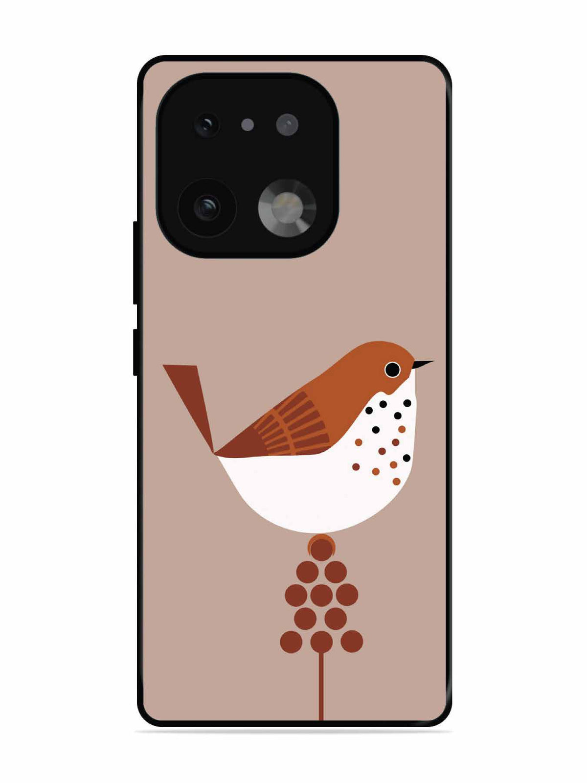 realme 16 Pro Plus Sparrow