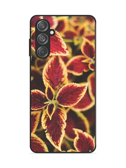 Samsung Galaxy M15 Autumn Blaze