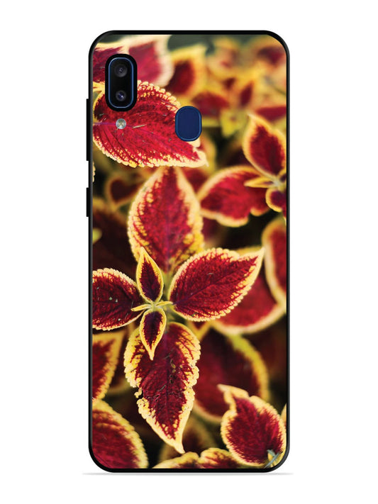 Samsung Galaxy A20 Autumn Blaze