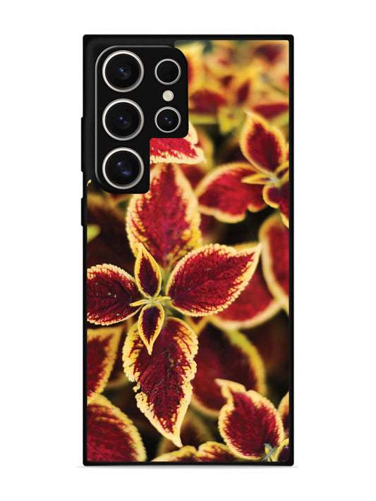 Samsung Galaxy S24 Ultra 5G Autumn Blaze