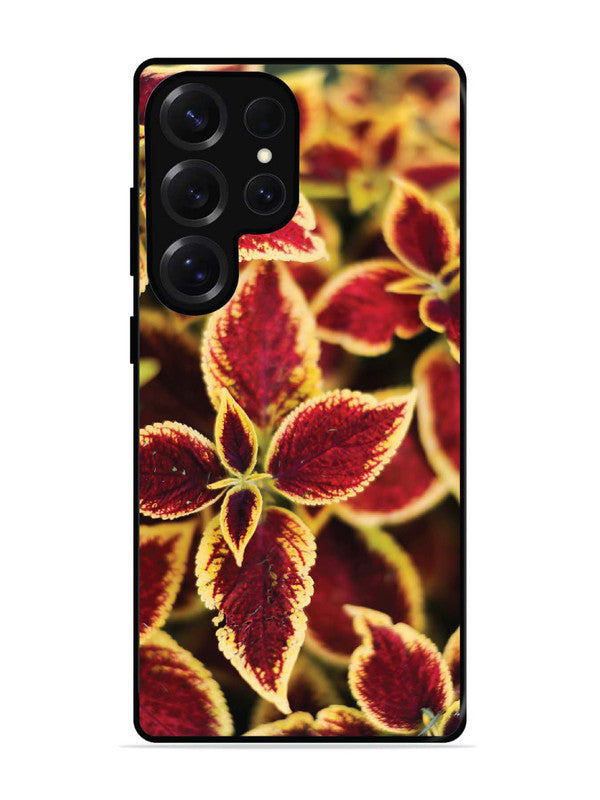Samsung Galaxy S25 Ultra Autumn Blaze