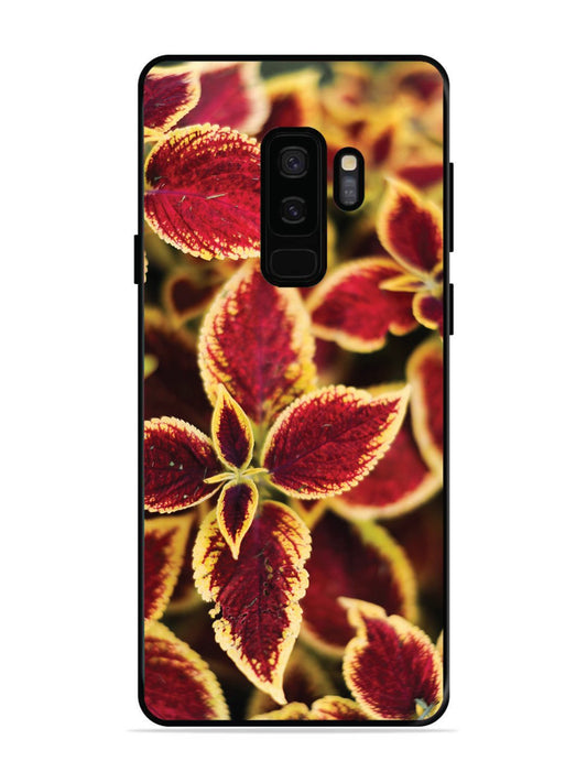 SAMSUNG GALAXY S9 PLUS Autumn Blaze