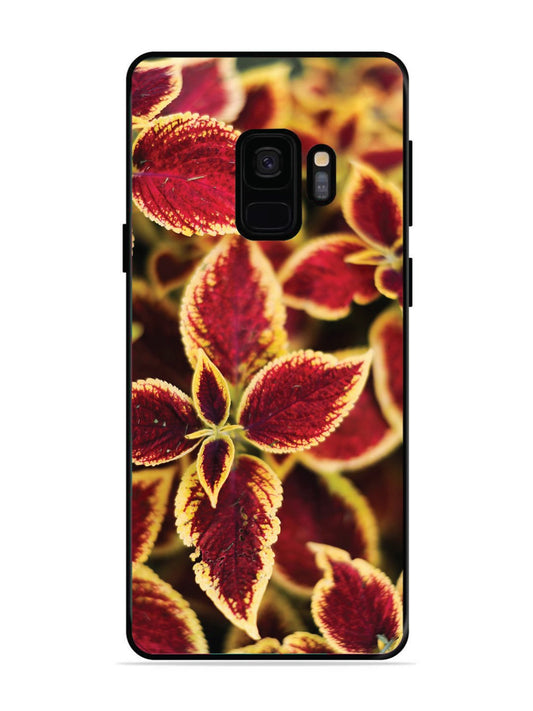 SAMSUNG GALAXY S9 Autumn Blaze