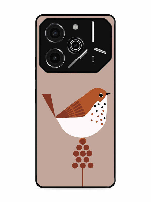 Tecno Pova 6 Pro 5G Sparrow