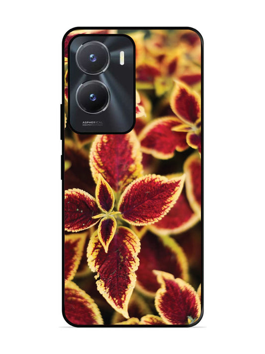 vivo y56 5g Autumn Blaze