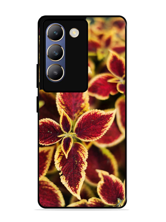 Vivo T3 5G Autumn Blaze