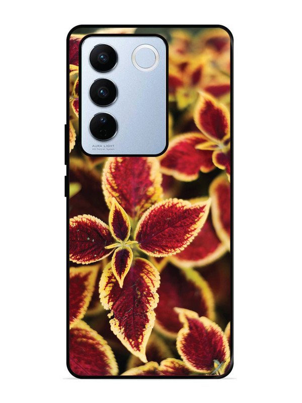 vivo v27 pro 5g Autumn Blaze