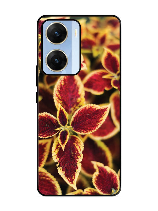 vivo v29e 5g Autumn Blaze