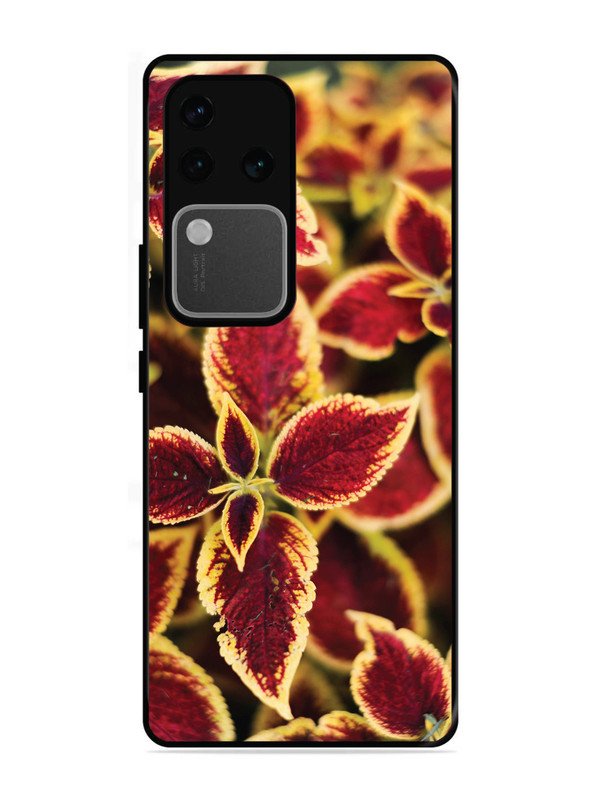 vivo v30 pro 5g Autumn Blaze