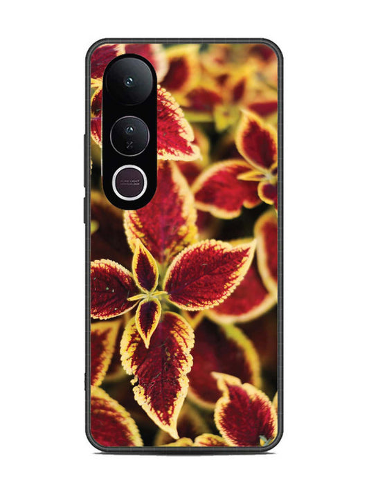 Vivo V50 Lite Autumn Blaze