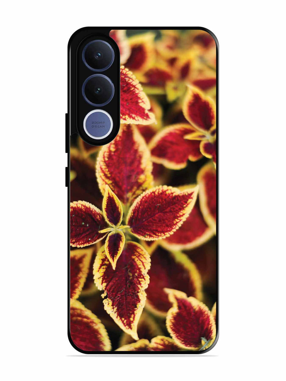 Vivo V70 fe Autumn Blaze